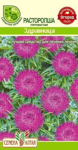 Купить оптом в Ботанике семена Расторопша Здравница пятнистая СА бренд Семена Алтая