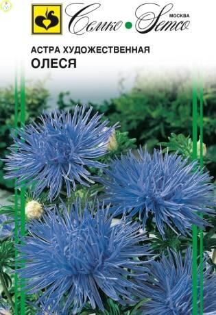 Купить оптом в Ботанике семена Астра Олеся художеств Сем бренд Семко