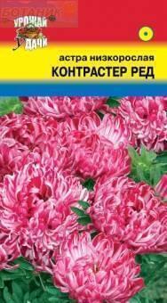 Купить оптом в Ботанике семена Астра Контрастер ред УУ бренд Урожай Удачи