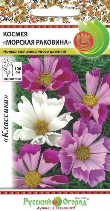 Купить оптом в Ботанике семена Космея Морская раковина НК бренд НК