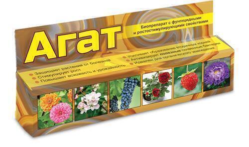 Купить оптом в Ботанике Агат 20 мл (60) ВХ