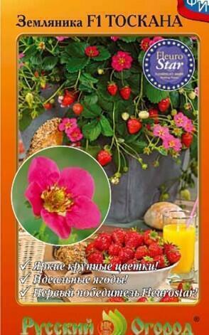 Купить оптом в Ботанике семена Земляника Тоскана F1 НК бренд НК