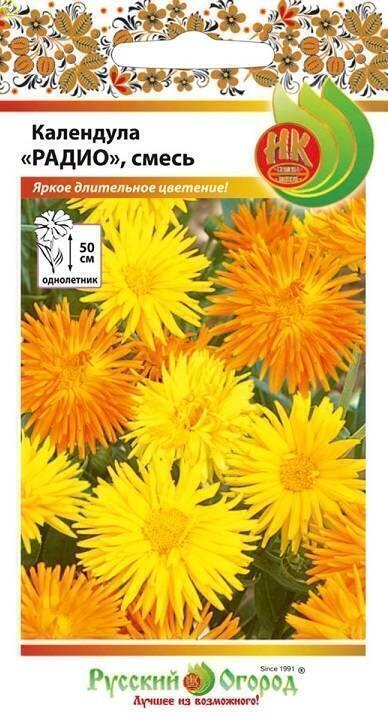 Купить оптом в Ботанике семена Календула Радио, смесь НК бренд НК