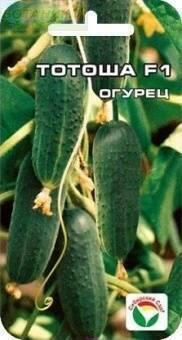Купить оптом в Ботанике семена Огурец Тотоша F1 СС бренд Сиб.сад