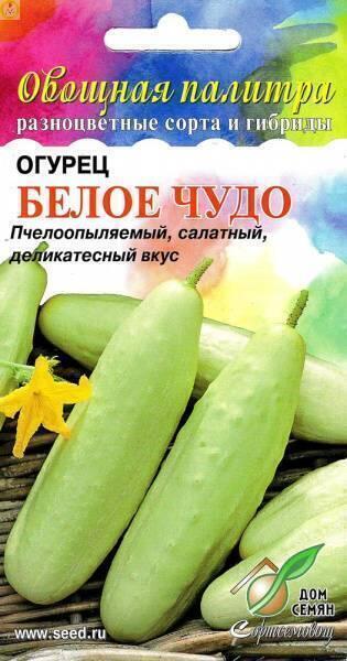 Купить оптом в Ботанике семена Огурец Белое чудо ССО бренд Сортсемовощ