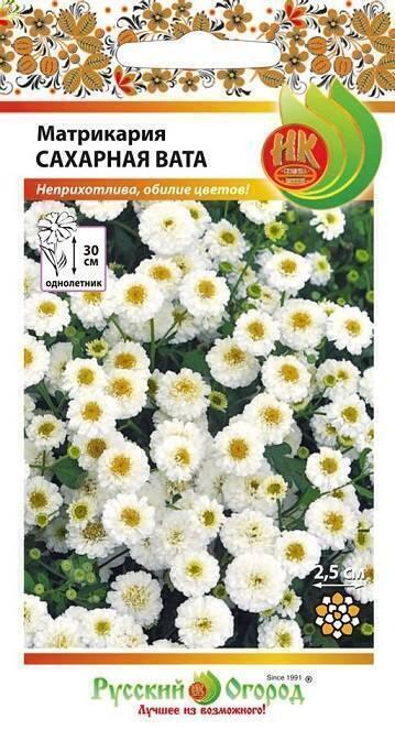 Купить оптом в Ботанике семена Матрикария Сахарная вата НК бренд НК