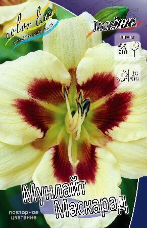 Купить оптом в Ботанике Лилейник Мунлайт Маскарад 1 шт
