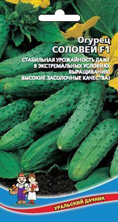 Купить оптом в Ботанике семена Огурец Соловей F1 УД бренд Уральский дачник