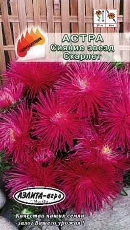 Купить оптом в Ботанике семена Астра Сияние звезд Скарлетт Аэл бренд Аэлита