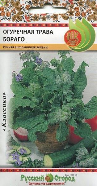 Купить оптом в Ботанике семена Огуречная Трава Бораго НК бренд НК
