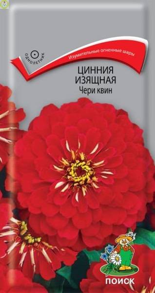 Купить оптом в Ботанике семена Цинния изящная Чери квин Поиск бренд Поиск