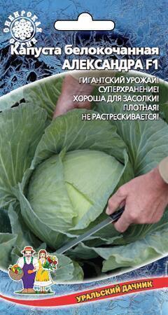 Купить оптом в Ботанике семена Капуста белокочанная Александра УД бренд Уральский дачник