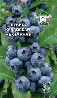 Купить оптом в Ботанике семена Голубика Канадская нектарная Сед бренд СеДеК