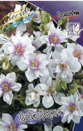 Купить оптом в Ботанике Гераниум Дабл Джуел 1 шт