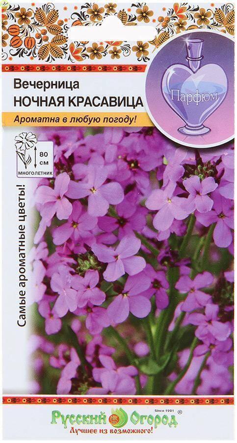 Купить оптом в Ботанике семена Вечерница Ночная красавица НК бренд НК