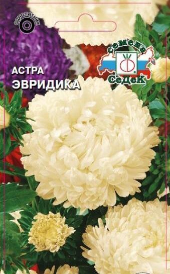 Купить оптом в Ботанике семена Астра Эвридика Сед бренд СеДеК