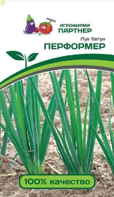 Купить оптом в Ботанике семена Лук батун Перформер Пар бренд Партнер