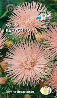 Купить оптом в Ботанике семена Астра Керубино Сед бренд СеДеК