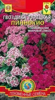 Купить оптом в Ботанике семена Гвоздика турецкая Пиноккио Плз бренд Плазмас