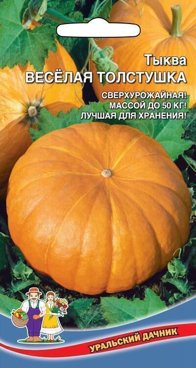 Купить оптом в Ботанике семена Тыква Веселая толстушка УД бренд Уральский дачник