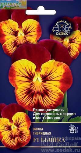 Купить оптом в Ботанике семена Виола Бьянка F1 Сед бренд СеДеК