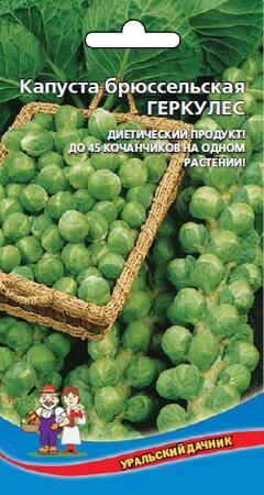 Купить оптом в Ботанике семена Капуста брюссельская Геркулес УД бренд Уральский дачник