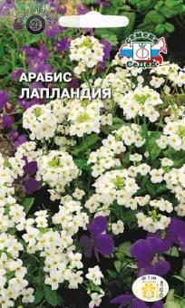 Купить оптом в Ботанике семена Арабис Лапландия белый Сед бренд СеДеК