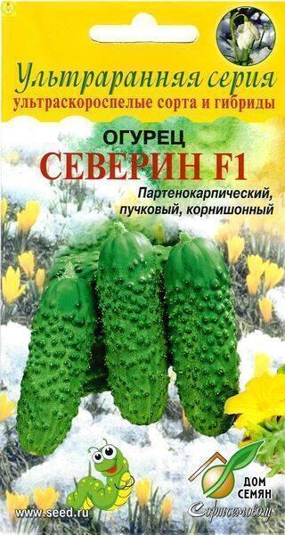 Купить оптом в Ботанике семена Огурец Северин F1 ССО бренд Сортсемовощ