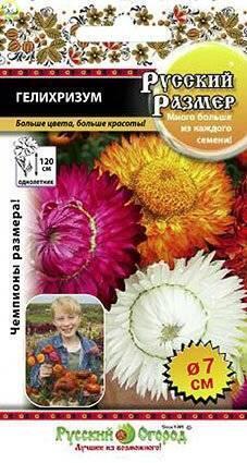 Купить оптом в Ботанике семена Гелихризум Русский размер смесь НК бренд НК
