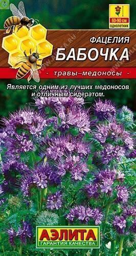 Купить оптом в Ботанике семена Фацелия Бабочка Аэл бренд Аэлита