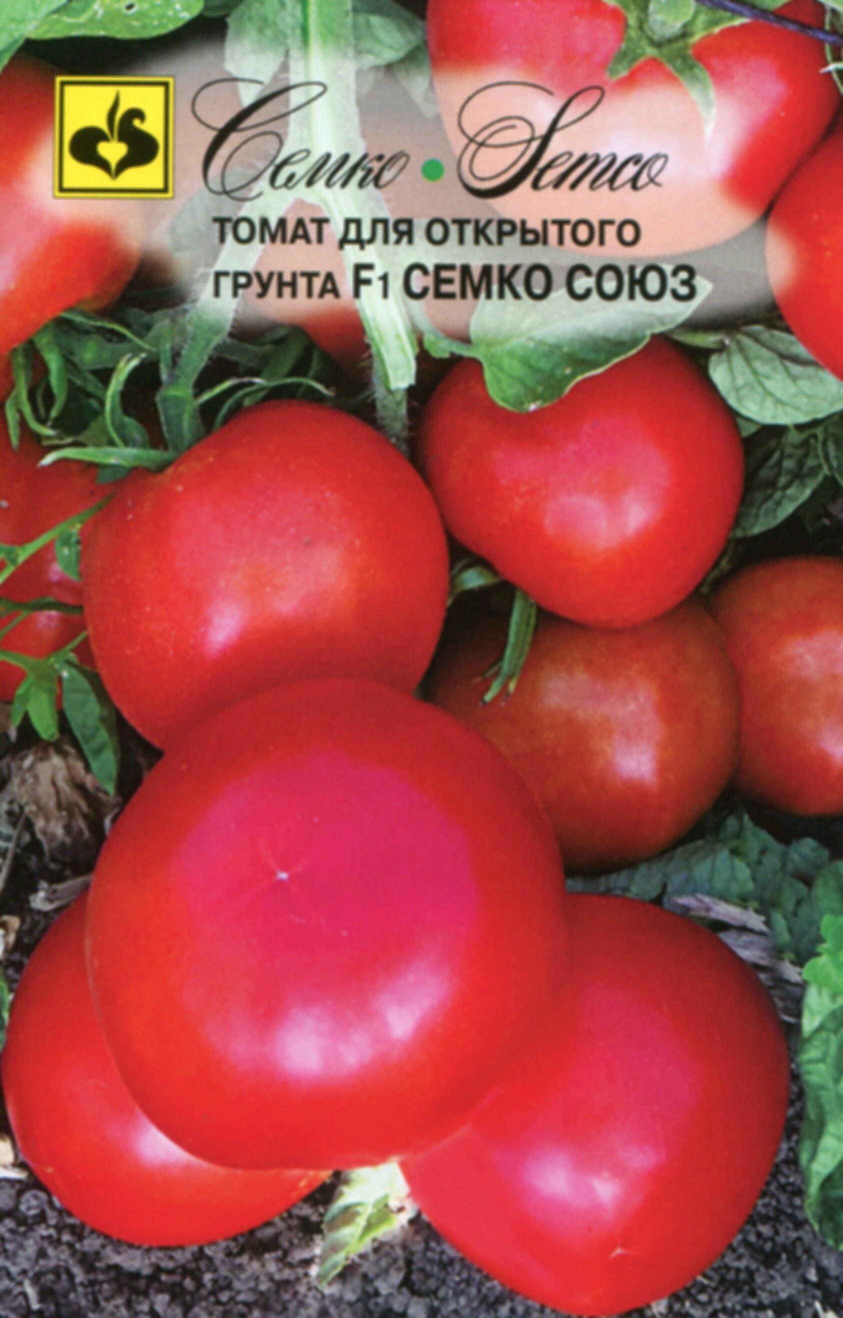 Семена семко. Томат премиум 2000 f1. Томат премиум 2000 Семко. Семко семена томатов. Томат гроздевой f1 фирмы Семко.