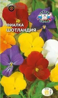 Купить оптом в Ботанике семена Фиалка Шотландия рогатая Сед бренд СеДеК