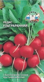 Купить оптом в Ботанике семена Редис Ультраранний Сед бренд СеДеК