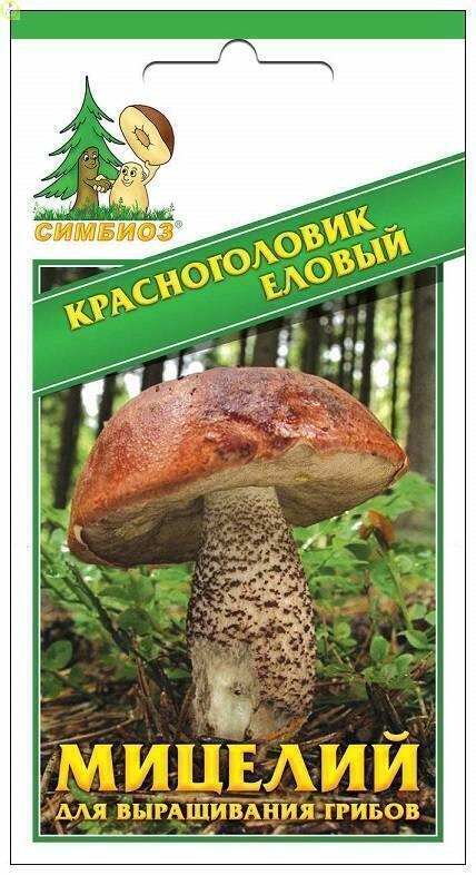 Купить оптом в Ботанике семена Красноголовик еловый Сим бренд НПМЛ СИМБИОЗ