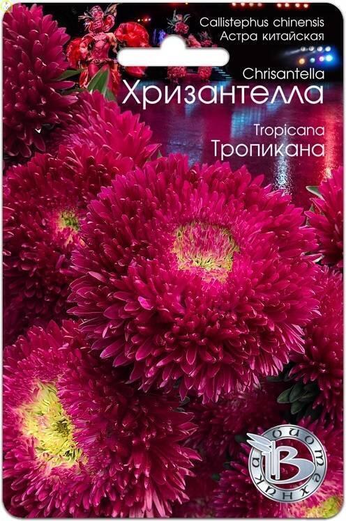 Купить оптом в Ботанике семена Астра китайская Хризантелла Тропикана Био бренд Биотехника