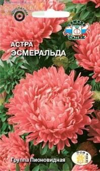 Купить оптом в Ботанике семена Астра Эсмеральда Сед бренд СеДеК