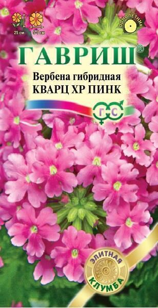 Купить оптом в Ботанике семена Вербена Кварц пинк Гав бренд Гавриш