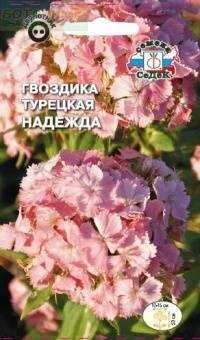 Купить оптом в Ботанике семена Гвоздика турецкая Надежда Сед бренд СеДеК