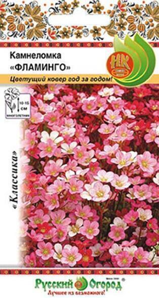 Купить оптом в Ботанике семена Камнеломка Фламинго смесь НК бренд НК