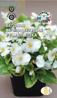 Купить оптом в Ботанике семена Бегония Малышка вечноцветущая Сед бренд СеДеК