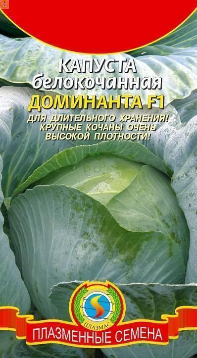 Купить оптом в Ботанике семена Капуста белокочанная Доминанта F1 Плз бренд Плазмас