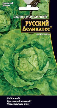 Купить оптом в Ботанике семена Салат Русский Деликатес кочанный УД бренд Уральский дачник