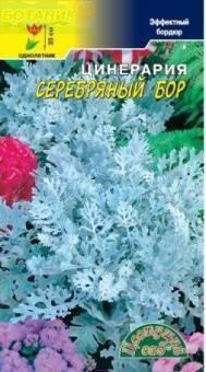 Купить оптом в Ботанике семена Цинерария Серебряный бор ЦС бренд Цветущий Сад