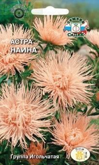 Купить оптом в Ботанике семена Астра Наина Сед бренд СеДеК