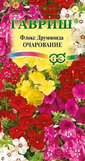 Купить оптом в Ботанике семена Флокс Очарование смесь друммонда Гав бренд Гавриш