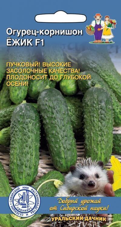 Купить оптом в Ботанике семена Огурец Ежик F1 УД бренд Уральский дачник