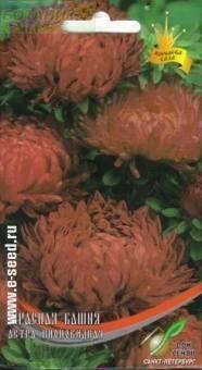 Купить оптом в Ботанике семена Астра Красная башня пионовидная ССО бренд Сортсемовощ