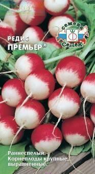 Купить оптом в Ботанике семена Редис Премьер Сед бренд СеДеК