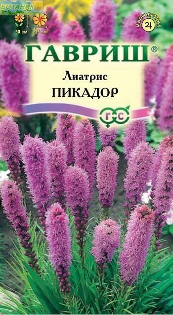 Купить оптом в Ботанике семена Лиатрис Пикадор Гав бренд Гавриш