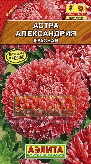 Купить оптом в Ботанике семена Астра Александрия красная Аэл бренд Аэлита